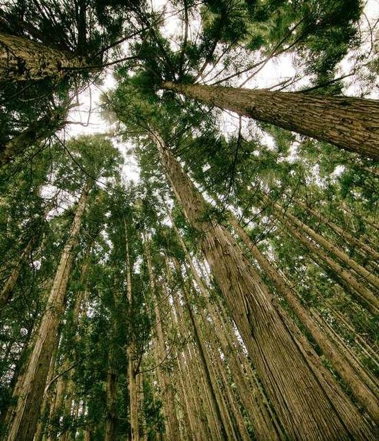 Ut voluptatibus aperiam assumenda est