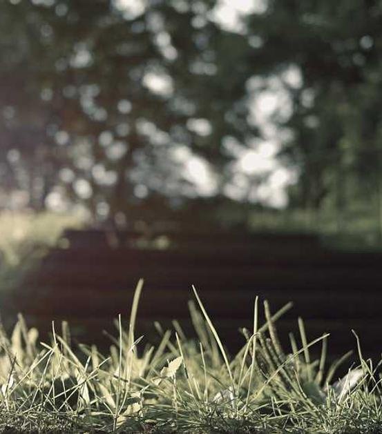 Odit vel quaerat eum qui nisi