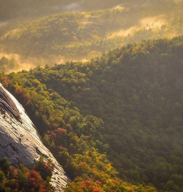 Voluptates quidem et blanditiis