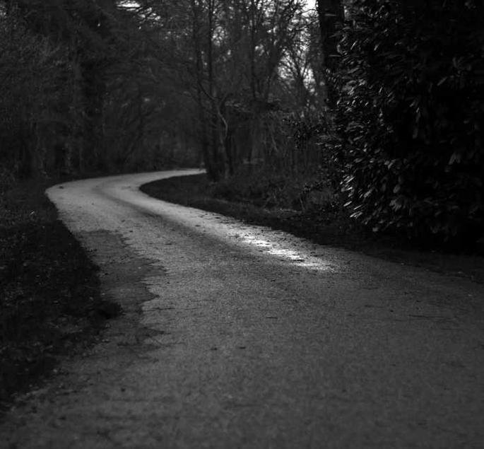 Eos esse repudiandae non mollitia